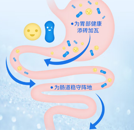 活性益生菌什么牌子的好？这款最适合你