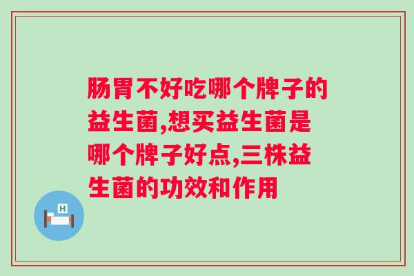 八联益生菌与四联益生菌的区别?详细解析两种益生菌的差异? 八联益生菌与四联益生菌的区别?详细解析两种益生菌的差异?