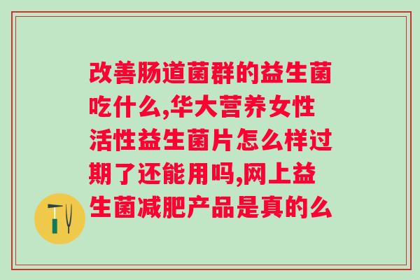 狗狗什么牌子益生菌好？了解宠物狗益生菌的选择和使用？