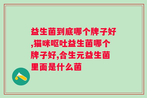 益生菌主什么？探究益生菌的功效与作用？