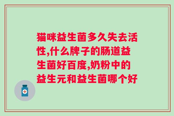 益生菌粉可以调节肠道吗？了解益生菌粉对肠道健康的作用及使用方法？