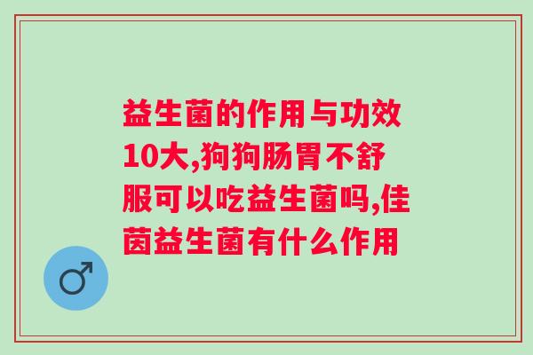 药店是否有猫用益生菌出售？寻找适合猫咪的益生菌产品？