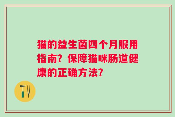 猫的益生菌四个月服用指南？保障猫咪肠道健康的正确方法？