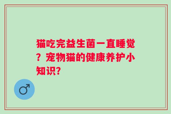 猫吃完益生菌一直睡觉？宠物猫的健康养护小知识？