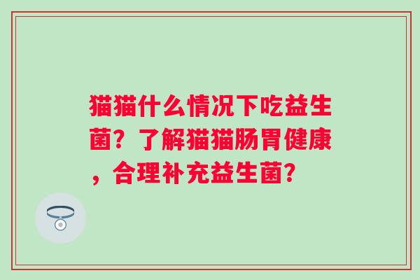 猫猫什么情况下吃益生菌？了解猫猫肠胃健康，合理补充益生菌？