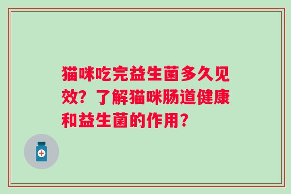 猫咪吃完益生菌多久见效?了解猫咪肠道健康和益生菌的作用? 猫咪吃完益生菌多久见效?了解猫咪肠道健康和益生菌的作用?