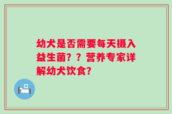 幼犬是否需要每天摄入益生菌？？营养专家详解幼犬饮食？