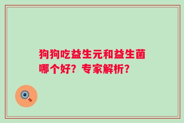 狗狗吃益生元和益生菌哪个好？专家解析？