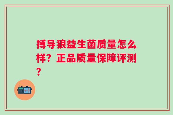 搏导狼益生菌质量怎么样？正品质量保障评测？