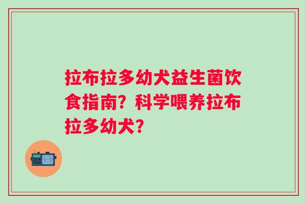 拉布拉多幼犬益生菌饮食指南？科学喂养拉布拉多幼犬？
