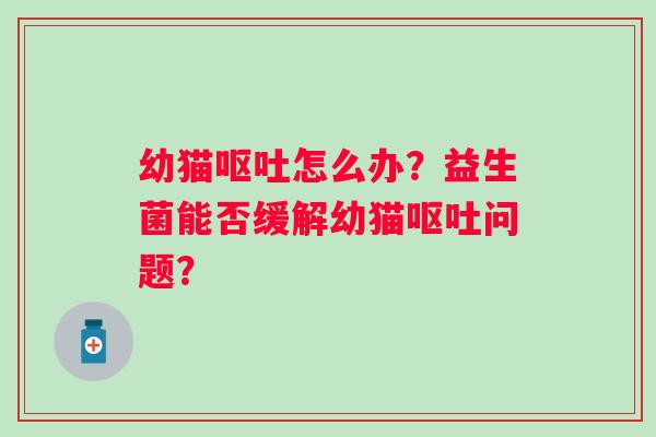 幼猫怎么办?益生菌能否缓解幼猫问题? 幼猫怎么办?益生菌能否缓解幼猫问题?