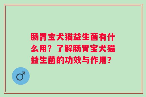 肠胃宝犬猫益生菌有什么用？了解肠胃宝犬猫益生菌的功效与作用？