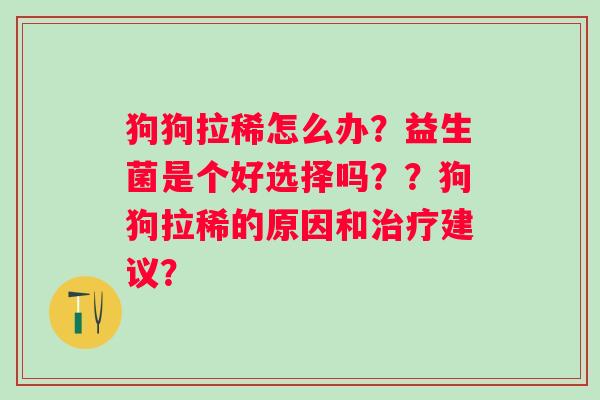 狗狗拉稀怎么办？益生菌是个好选择吗？？狗狗拉稀的原因和建议？