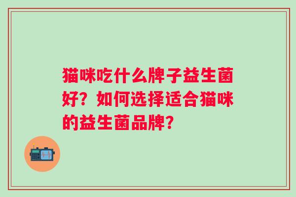 猫咪吃什么牌子益生菌好？如何选择适合猫咪的益生菌品牌？