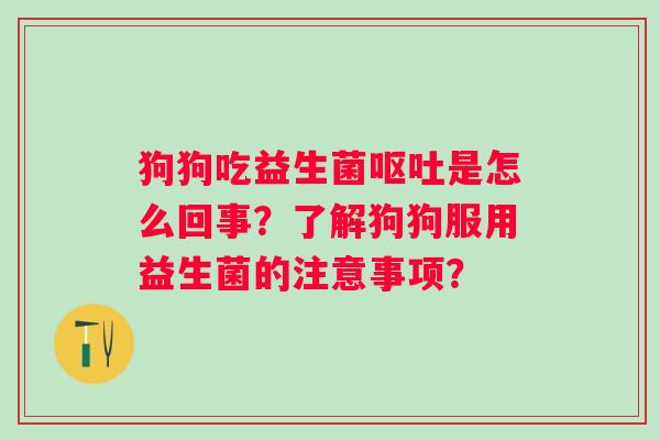 狗狗吃益生菌是怎么回事？了解狗狗服用益生菌的注意事项？