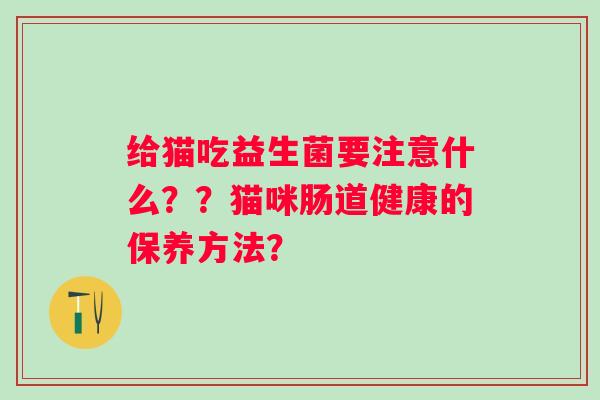 给猫吃益生菌要注意什么？？猫咪肠道健康的保养方法？