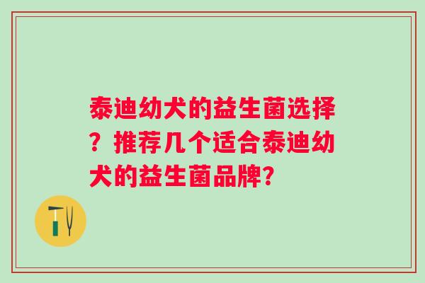 泰迪幼犬的益生菌选择？推荐几个适合泰迪幼犬的益生菌品牌？