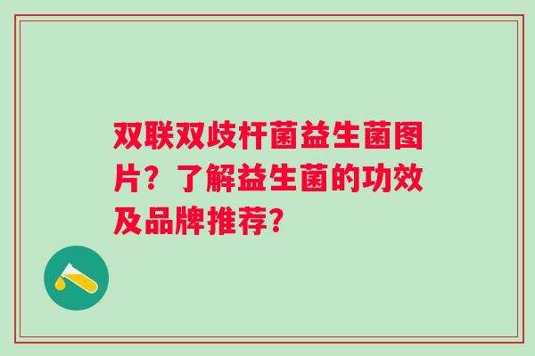 双联双歧杆菌益生菌图片？了解益生菌的功效及品牌推荐？