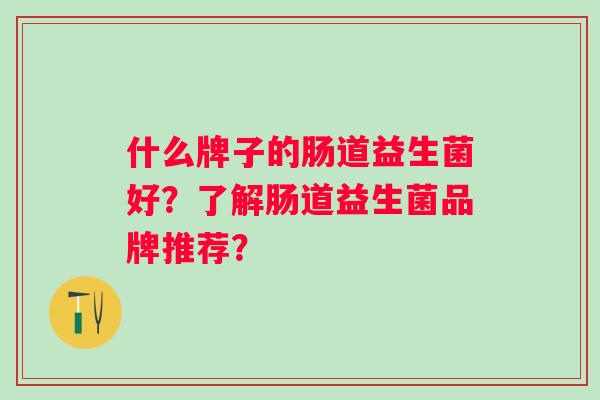 什么牌子的肠道益生菌好?了解肠道益生菌品牌推荐? 什么牌子的肠道益生菌好?了解肠道益生菌品牌推荐?