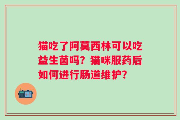 猫吃了阿莫西林可以吃益生菌吗？猫咪服药后如何进行肠道维护？