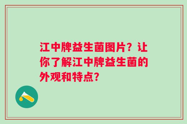 江中牌益生菌图片？让你了解江中牌益生菌的外观和特点？