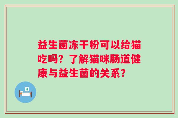 益生菌冻干粉可以给猫吃吗？了解猫咪肠道健康与益生菌的关系？