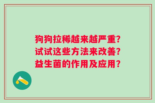 狗狗拉稀越来越严重?试试这些方法来改善?益生菌的作用及应用? 狗狗拉稀越来越严重?试试这些方法来改善?益生菌的作用及应用?