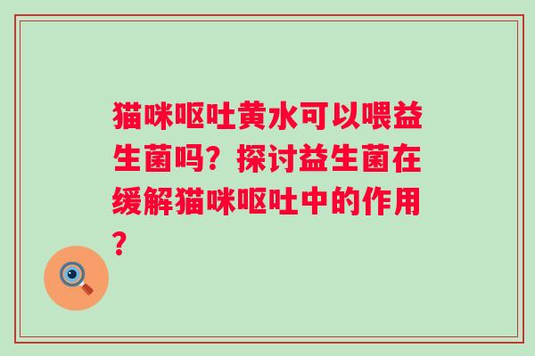 猫咪黄水可以喂益生菌吗？探讨益生菌在缓解猫咪中的作用？