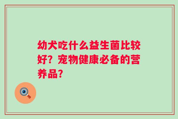 幼犬吃什么益生菌比较好？宠物健康必备的营养品？