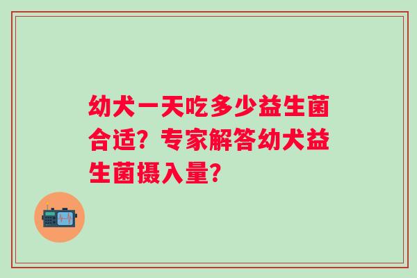 幼犬一天吃多少益生菌合适？专家解答幼犬益生菌摄入量？