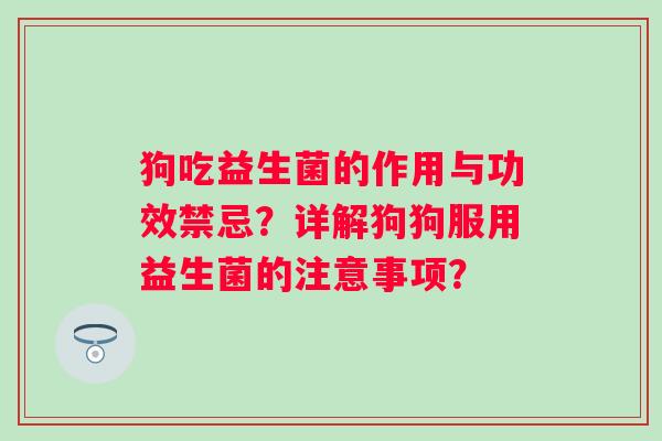 狗吃益生菌的作用与功效禁忌？详解狗狗服用益生菌的注意事项？