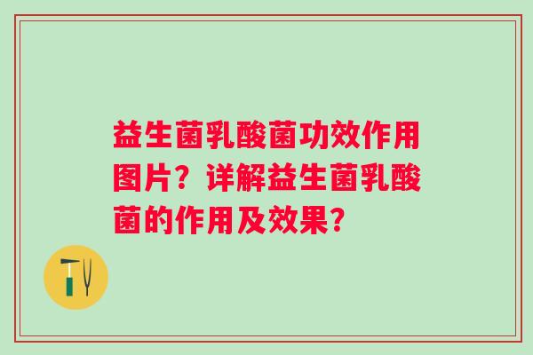 益生菌乳酸菌功效作用图片？详解益生菌乳酸菌的作用及效果？
