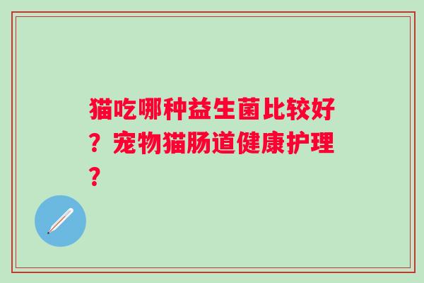 猫吃哪种益生菌比较好？宠物猫肠道健康护理？