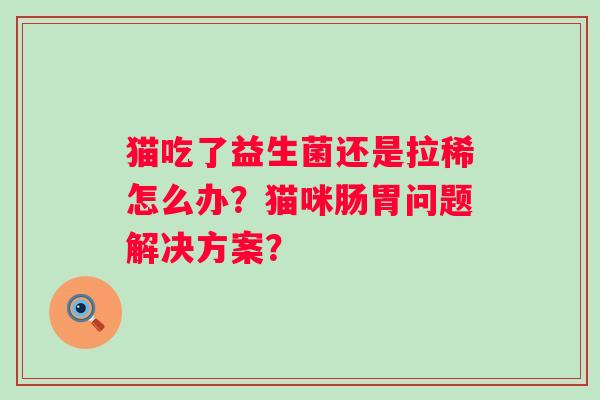 猫吃了益生菌还是拉稀怎么办？猫咪肠胃问题解决方案？
