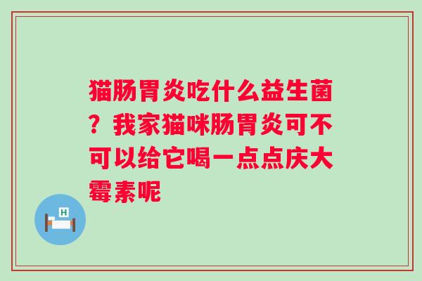 猫肠胃炎吃什么益生菌？我家猫咪肠胃炎可不可以给它喝一点点庆大霉素呢