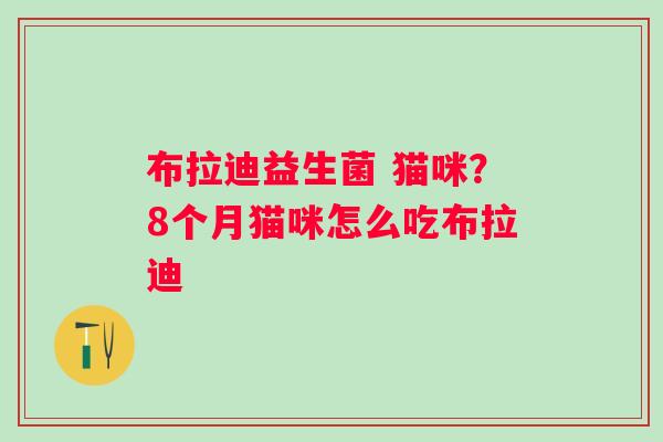 布拉迪益生菌 猫咪？8个月猫咪怎么吃布拉迪