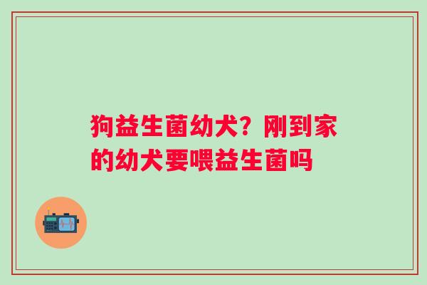 狗益生菌幼犬？刚到家的幼犬要喂益生菌吗