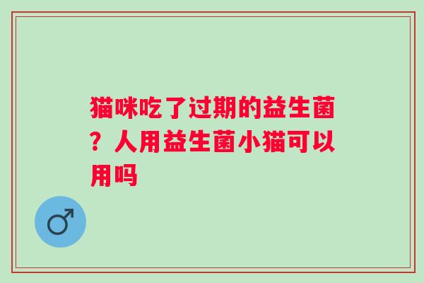 猫咪吃了过期的益生菌？人用益生菌小猫可以用吗