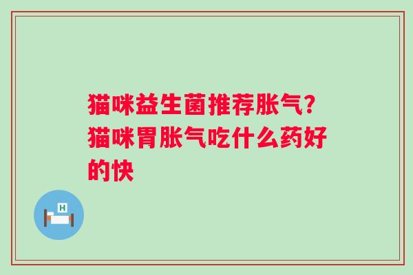 猫咪益生菌推荐?猫咪胃吃什么药好的快 猫咪益生菌推荐?猫咪胃吃什么药好的快
