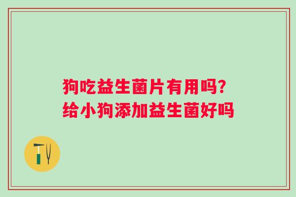 狗吃益生菌片有用吗?给小狗添加益生菌好吗 狗吃益生菌片有用吗?给小狗添加益生菌好吗