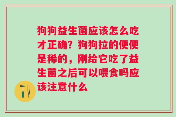 狗狗益生菌应该怎么吃才正确？狗狗拉的便便是稀的，刚给它吃了益生菌之后可以喂食吗应该注意什么