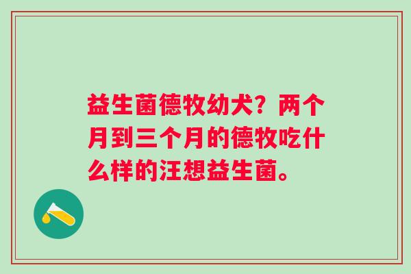 益生菌德牧幼犬？两个月到三个月的德牧吃什么样的汪想益生菌。