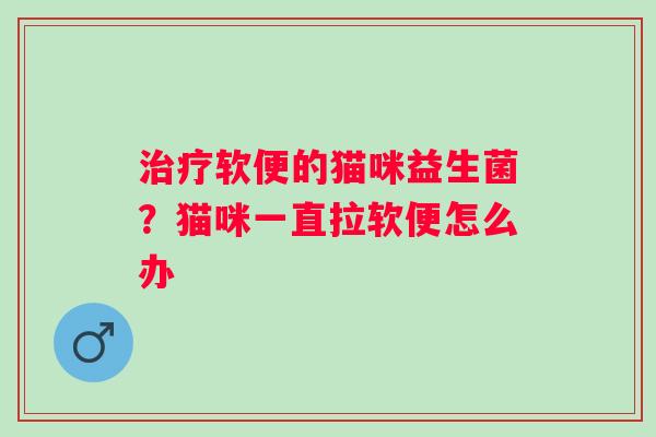 软便的猫咪益生菌？猫咪一直拉软便怎么办
