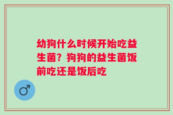 幼狗什么时候开始吃益生菌？狗狗的益生菌饭前吃还是饭后吃