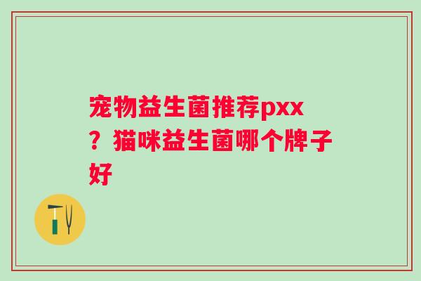 宠物益生菌推荐pxx？猫咪益生菌哪个牌子好