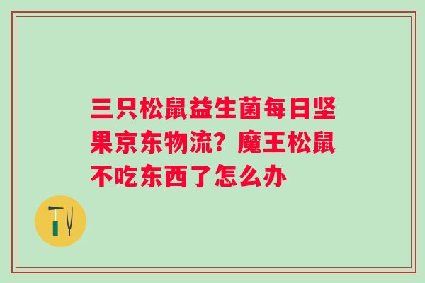 三只松鼠益生菌每日坚果京东物流？魔王松鼠不吃东西了怎么办