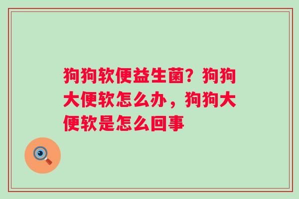 狗狗软便益生菌？狗狗大便软怎么办，狗狗大便软是怎么回事