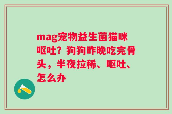 mag宠物益生菌猫咪呕吐？狗狗昨晚吃完骨头，半夜拉稀、呕吐、怎么办