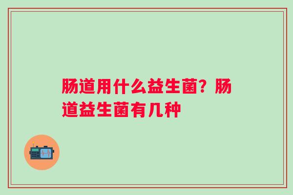 肠道用什么益生菌？肠道益生菌有几种