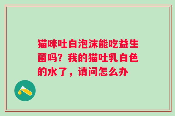 猫咪吐白泡沫能吃益生菌吗？我的猫吐乳白色的水了，请问怎么办